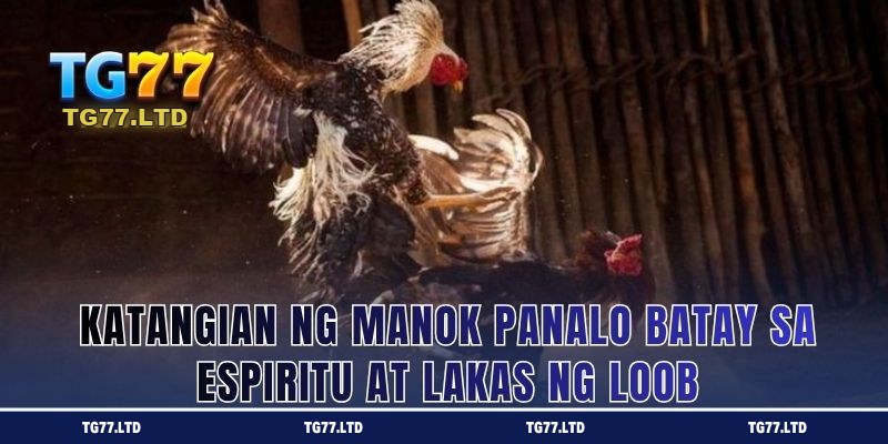 Katangian ng Manok Panalo Batay sa Espiritu at Lakas ng Loob