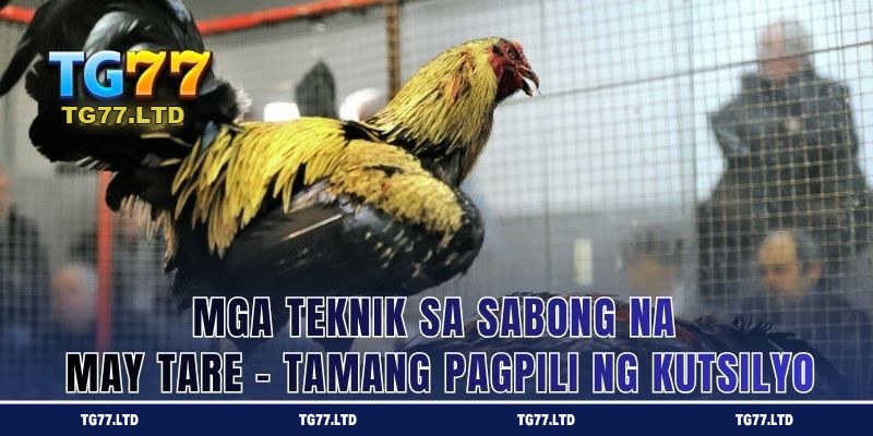 Mga Teknik sa Sabong sa Diskarte ng Pakikipaglaban